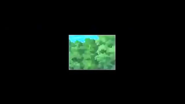 Hinata and Sakura Seduce Naruto with Mesmerizing Trap Dance in Anime Heat