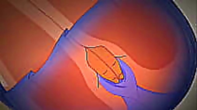 Teen 18+ Hentai Cutie Pleasures With Sizzling blowjob For Ecstatic Facial Bliss
